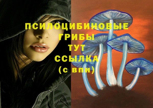 твердый Алексеевка