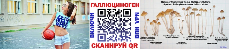 сколько стоит  дарк нет формула  Галлюциногенные грибы прущие грибы  Камышин 